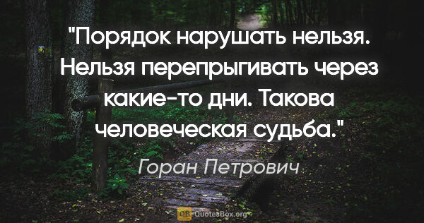 Горан Петрович цитата: ""Порядок нарушать нельзя. Нельзя перепрыгивать через какие-то..."