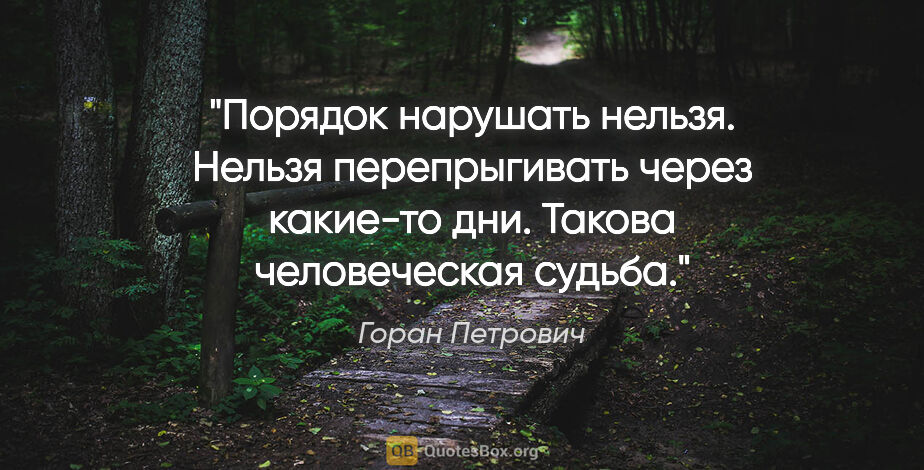 Горан Петрович цитата: ""Порядок нарушать нельзя. Нельзя перепрыгивать через какие-то..."