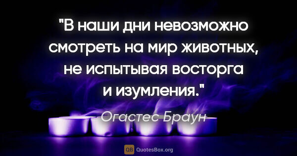 Огастес Браун цитата: "В наши дни невозможно смотреть на мир животных, не испытывая..."