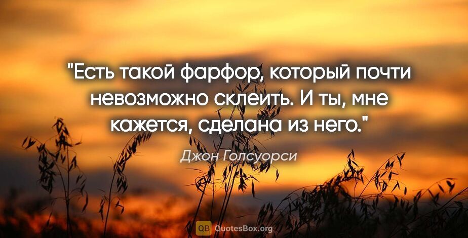 Джон Голсуорси цитата: "Есть такой фарфор, который почти невозможно склеить. И ты, мне..."