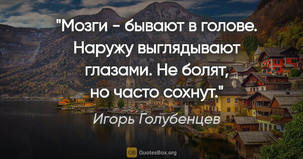 Игорь Голубенцев цитата: "Мозги - бывают в голове. Наружу выглядывают глазами. Не болят,..."