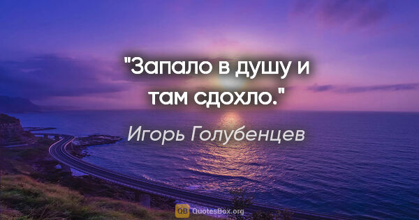 Игорь Голубенцев цитата: "Запало в душу и там сдохло."