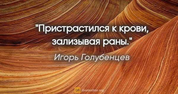 Игорь Голубенцев цитата: "Пристрастился к крови, зализывая раны."