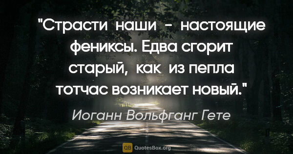 Иоганн Вольфганг Гете цитата: "Страсти  наши  -  настоящие фениксы. Едва сгорит старый,  как ..."