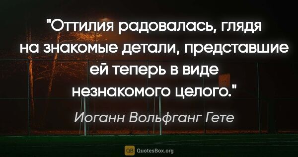 Иоганн Вольфганг Гете цитата: "Оттилия радовалась, глядя на знакомые детали, представшие ей..."