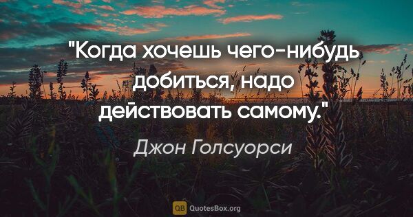 Джон Голсуорси цитата: "Когда хочешь чего-нибудь добиться, надо действовать самому."