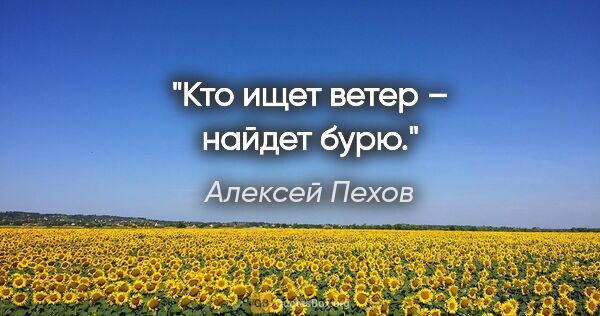 Алексей Пехов цитата: "Кто ищет ветер – найдет бурю."