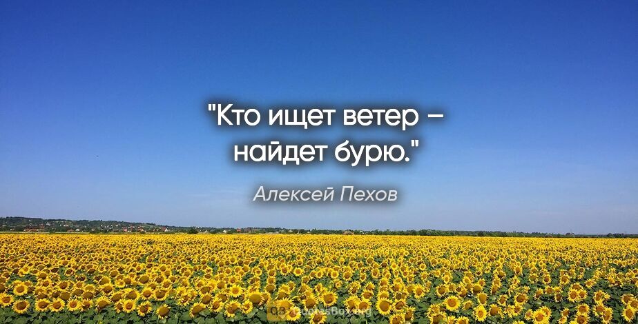 Алексей Пехов цитата: "Кто ищет ветер – найдет бурю."
