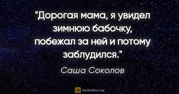 Саша Соколов цитата: "Дорогая мама, я увидел зимнюю бабочку, побежал за ней и потому..."