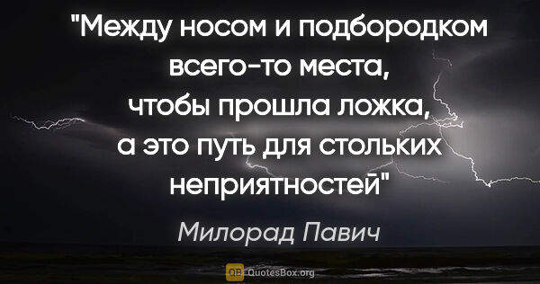 Милорад Павич цитата: "Между носом и подбородком всего-то места, чтобы прошла ложка,..."