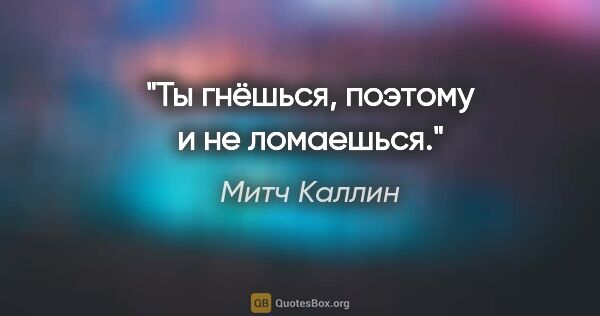 Митч Каллин цитата: "Ты гнёшься, поэтому и не ломаешься."