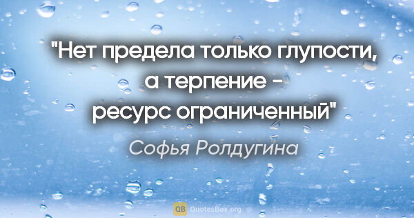 Софья Ролдугина цитата: "Нет предела только глупости, а терпение - ресурс ограниченный"