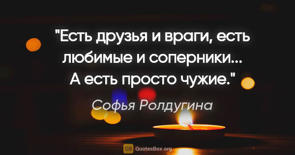 Софья Ролдугина цитата: "Есть друзья и враги, есть любимые и соперники... А есть просто..."