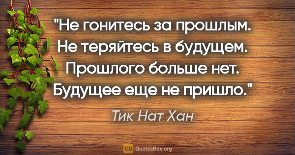 Тик Нат Хан цитата: "Не гонитесь за прошлым.

Не теряйтесь в будущем.

Прошлого..."