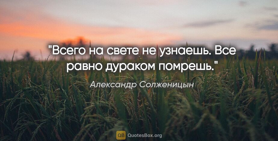 Александр Солженицын цитата: "Всего на свете не узнаешь. Все равно дураком помрешь."