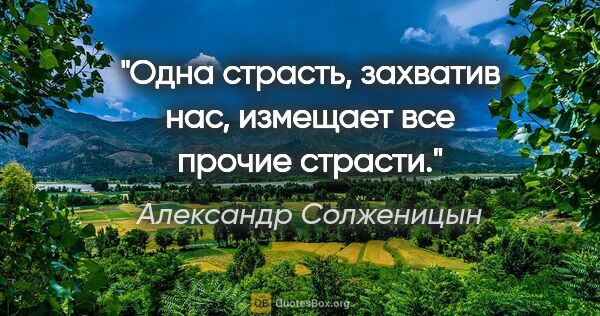 Александр Солженицын цитата: "Одна страсть, захватив нас, измещает все прочие страсти."