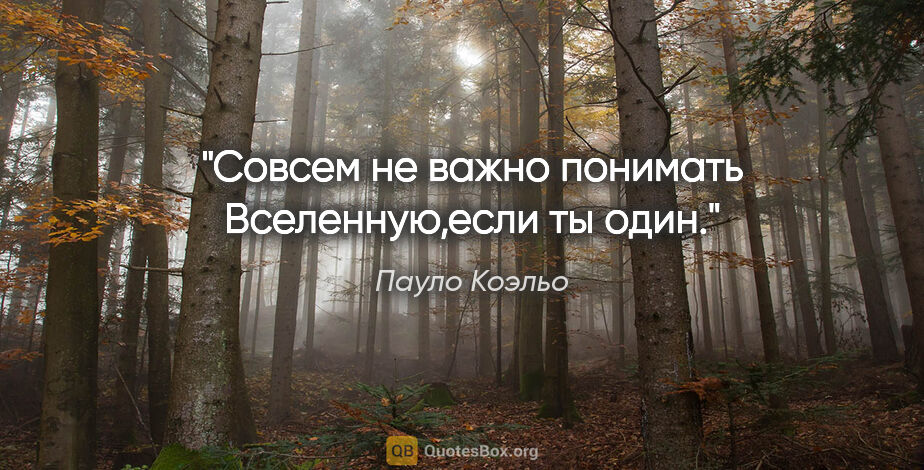 Пауло Коэльо цитата: "Совсем не важно понимать Вселенную,если ты один."