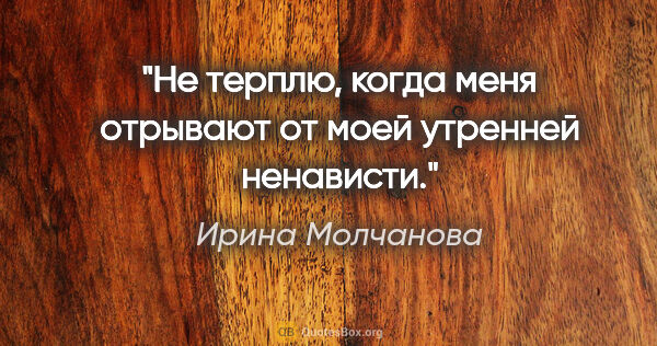 Ирина Молчанова цитата: "Не терплю, когда меня отрывают от моей утренней ненависти."