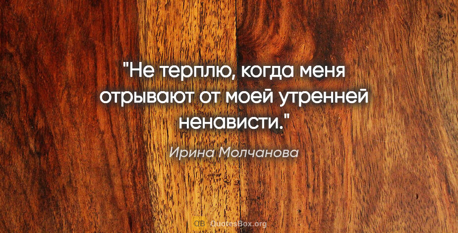 Ирина Молчанова цитата: "Не терплю, когда меня отрывают от моей утренней ненависти."
