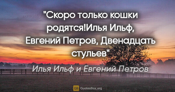 Илья Ильф и Евгений Петров цитата: "Скоро только кошки родятся!Илья Ильф, Евгений Петров,..."