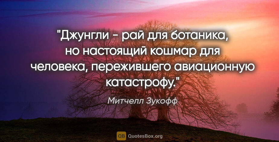 Митчелл Зукофф цитата: "Джунгли - рай для ботаника, но настоящий кошмар для человека,..."