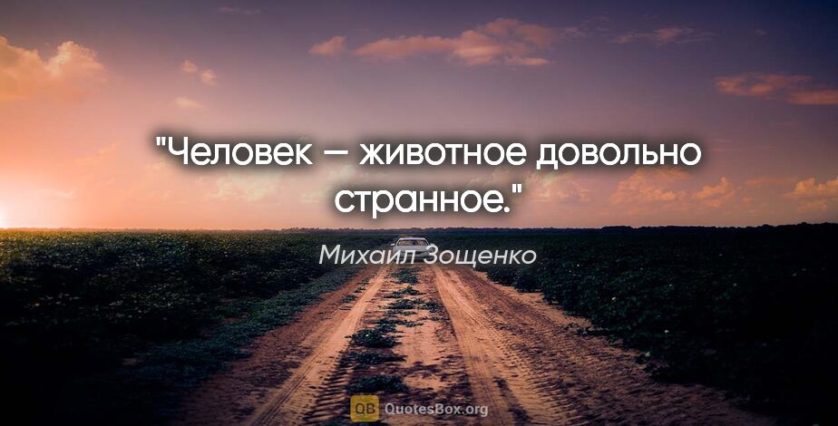 Михаил Зощенко цитата: "Человек — животное довольно странное."