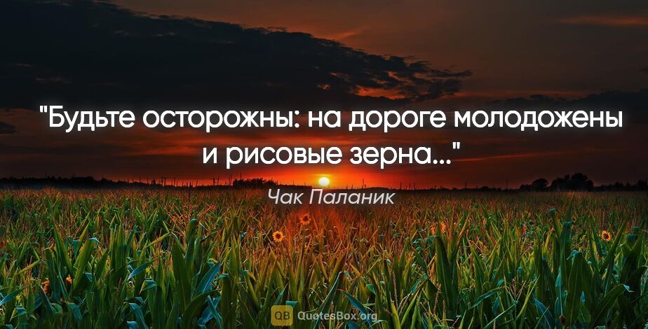 Чак Паланик цитата: "Будьте осторожны: на дороге молодожены и рисовые зерна..."