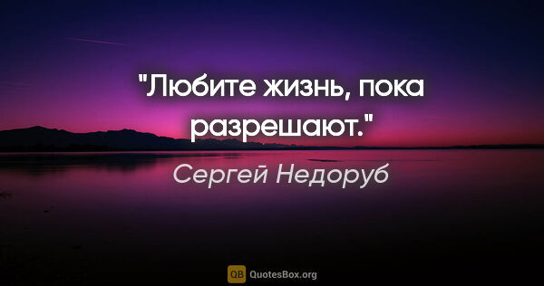 Сергей Недоруб цитата: "Любите жизнь, пока разрешают."