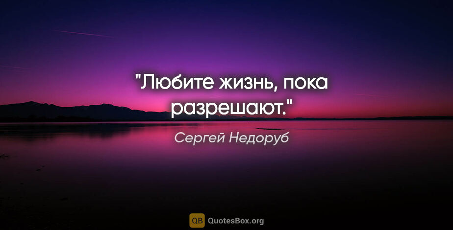 Сергей Недоруб цитата: "Любите жизнь, пока разрешают."