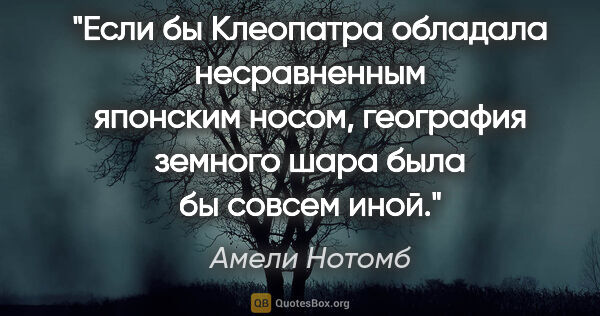 Амели Нотомб цитата: "Если бы Клеопатра обладала несравненным японским носом,..."