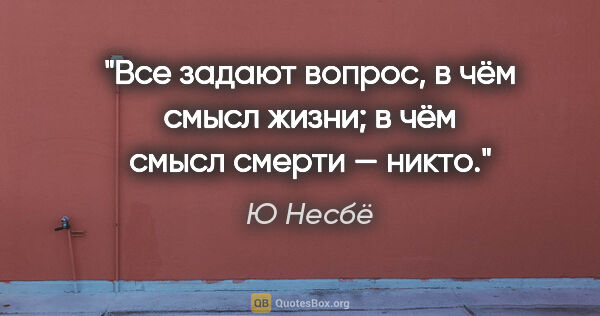 Ю Несбё цитата: "Все задают вопрос, в чём смысл жизни; в чём смысл смерти — никто."