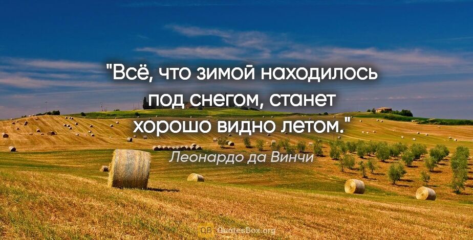 Леонардо да Винчи цитата: "Всё, что зимой находилось под снегом, станет хорошо видно летом."