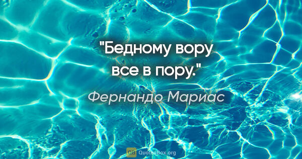 Фернандо Мариас цитата: "Бедному вору все в пору."