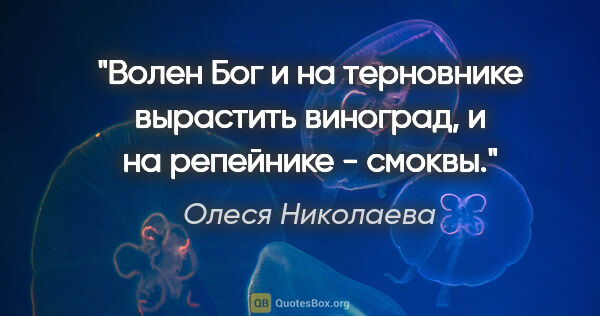 Олеся Николаева цитата: "Волен Бог и на терновнике вырастить виноград, и на репейнике -..."