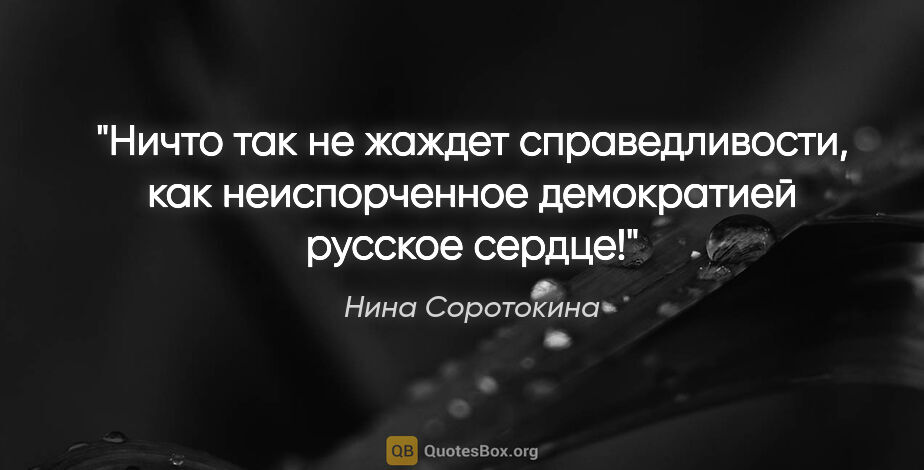 Нина Соротокина цитата: "Ничто так не жаждет справедливости, как неиспорченное..."