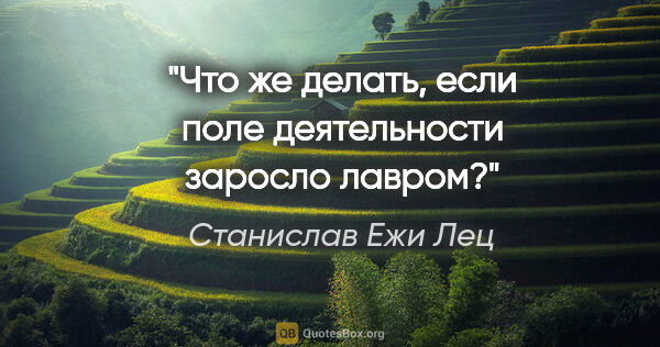 Станислав Ежи Лец цитата: "Что же делать, если поле деятельности заросло лавром?"