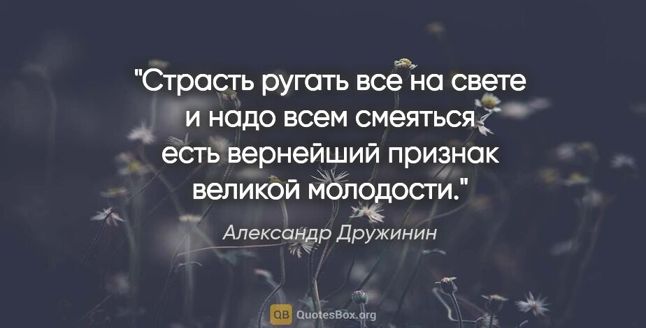 Александр Дружинин цитата: "Страсть ругать все на свете и надо всем смеяться есть..."