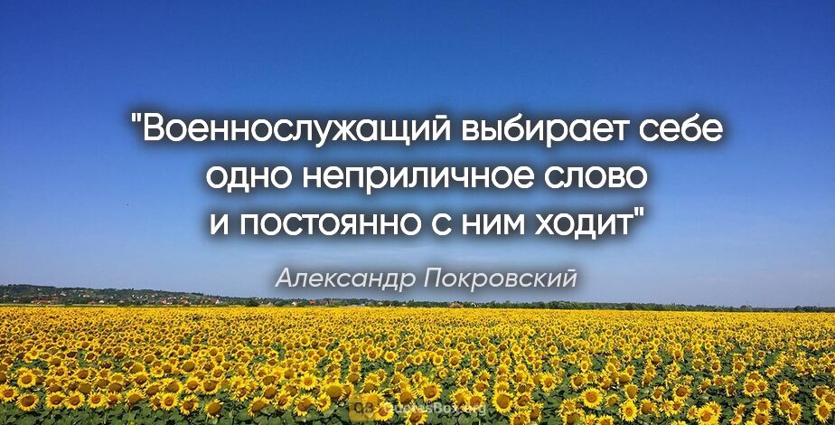 Александр Покровский цитата: "Военнослужащий выбирает себе одно неприличное слово и..."