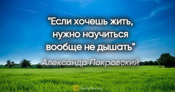 Александр Покровский цитата: "Если хочешь жить, нужно научиться вообще не дышать"