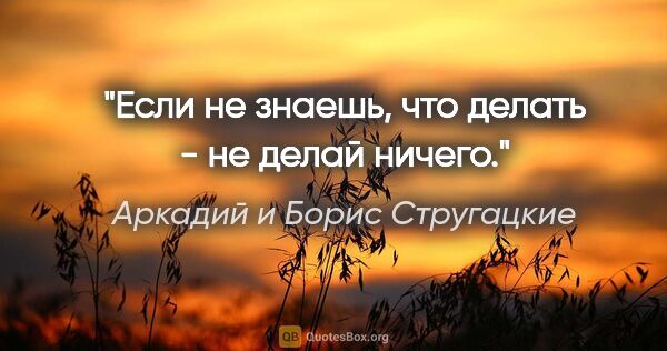 Аркадий и Борис Стругацкие цитата: "Если не знаешь, что делать - не делай ничего."