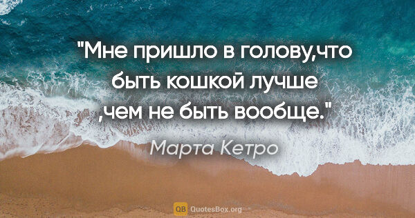 Марта Кетро цитата: "Мне пришло в голову,что быть кошкой лучше ,чем не быть вообще."