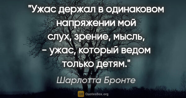 Шарлотта Бронте цитата: "Ужас держал в одинаковом напряжении мой слух, зрение, мысль, -..."