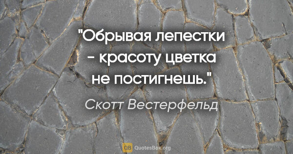 Скотт Вестерфельд цитата: "Обрывая лепестки - красоту цветка не постигнешь."