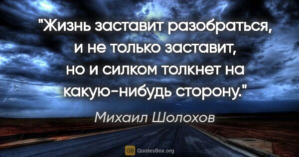 Михаил Шолохов цитата: "Жизнь заставит разобраться, и не только заставит, но и силком..."