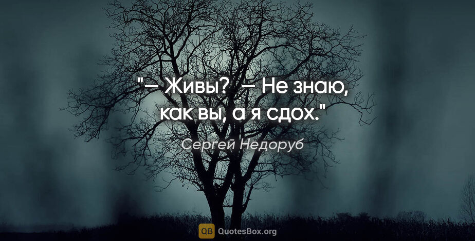 Сергей Недоруб цитата: "— Живы? 

— Не знаю, как вы, а я сдох."