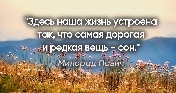 Милорад Павич цитата: "Здесь наша жизнь устроена так, что самая дорогая и редкая вещь..."