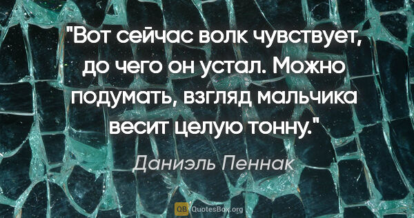 Даниэль Пеннак цитата: "Вот сейчас волк чувствует, до чего он устал. Можно подумать,..."