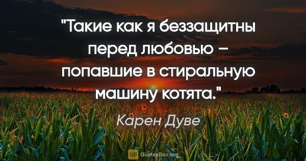 Карен Дуве цитата: "Такие как я беззащитны перед любовью – попавшие в стиральную..."