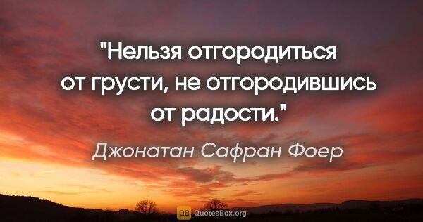 Джонатан Сафран Фоер цитата: "«Нельзя отгородиться от грусти, не отгородившись от радости.»"