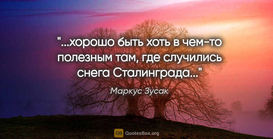 Маркус Зусак цитата: "хорошо быть хоть в чем-то полезным там, где случились снега..."